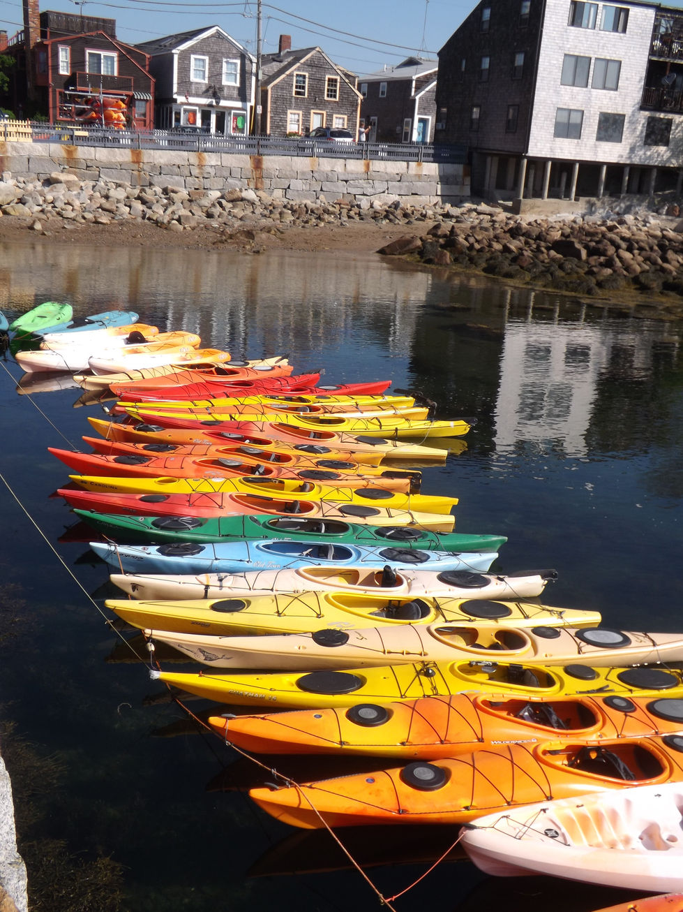 kayaks docked on calm water