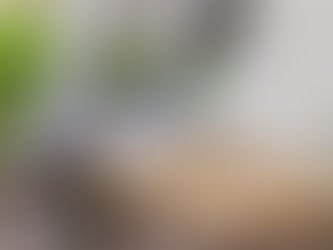 Experience the Freedom of Movement with Bare Footwear