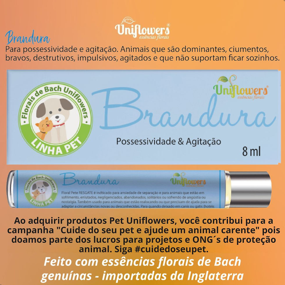 Miniatura: Floral de Bach Pet Brandura Roll-on