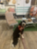 o.jpg