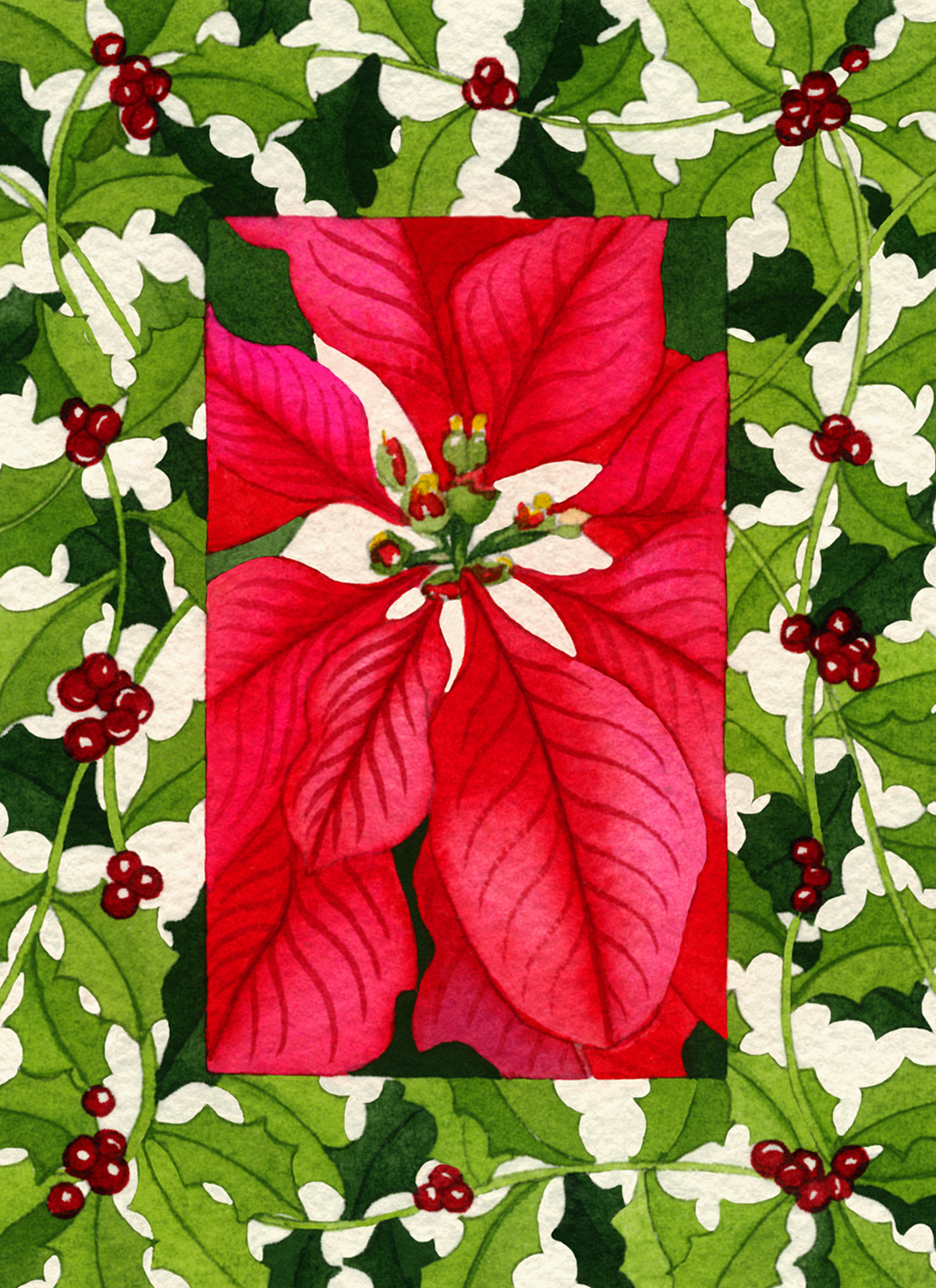 Poinsettia and Holly #1