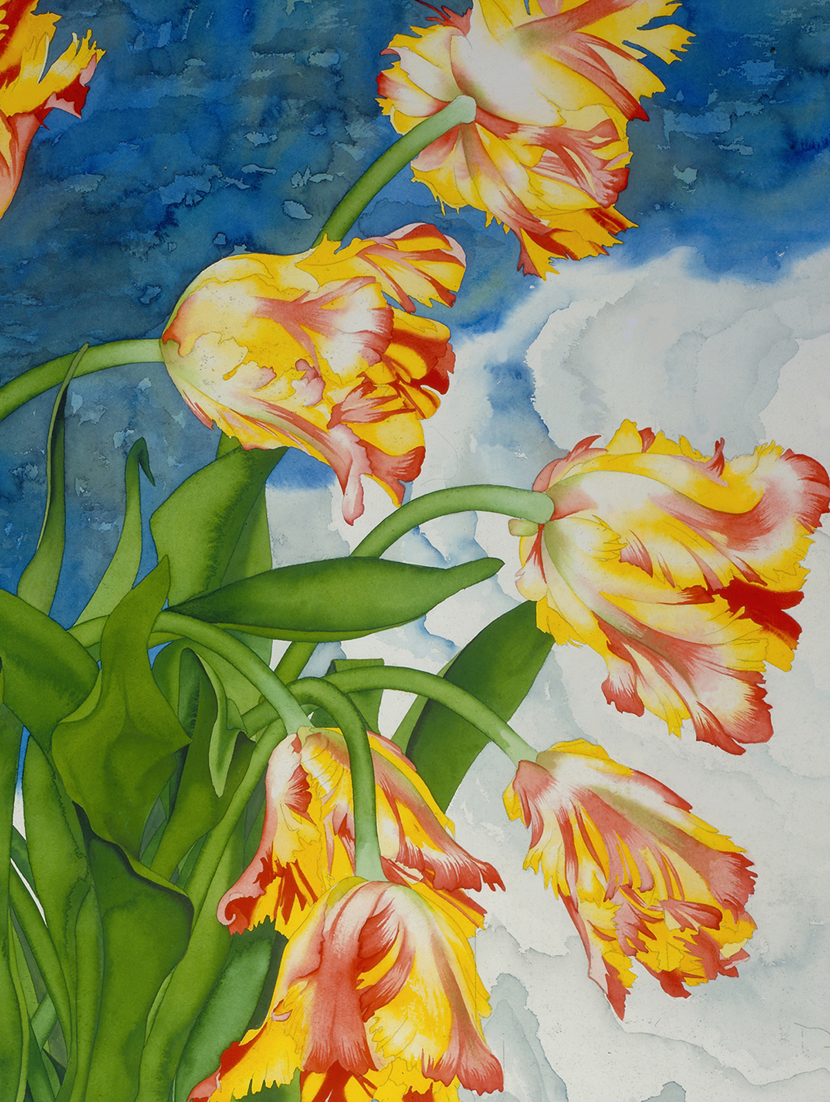 Parrot Tulips and Lalique vignette #36