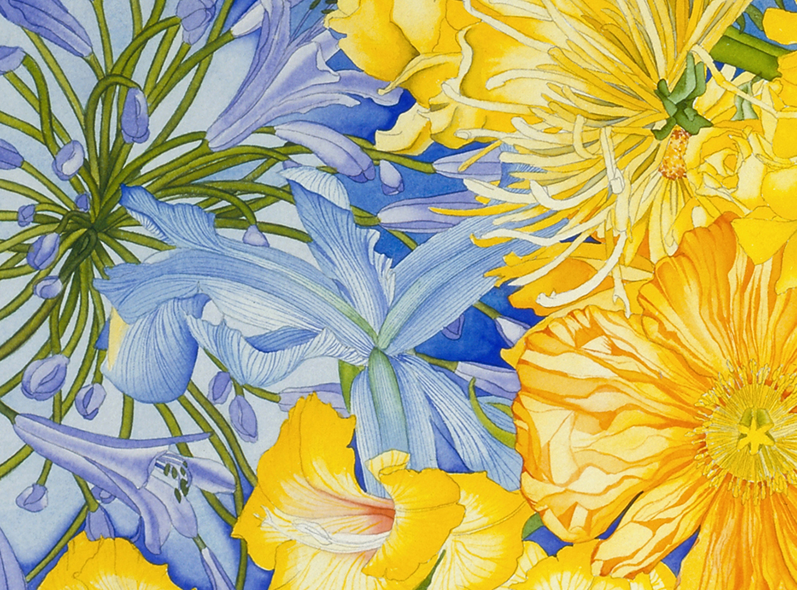 Sunburst vignette blue and yellow #46