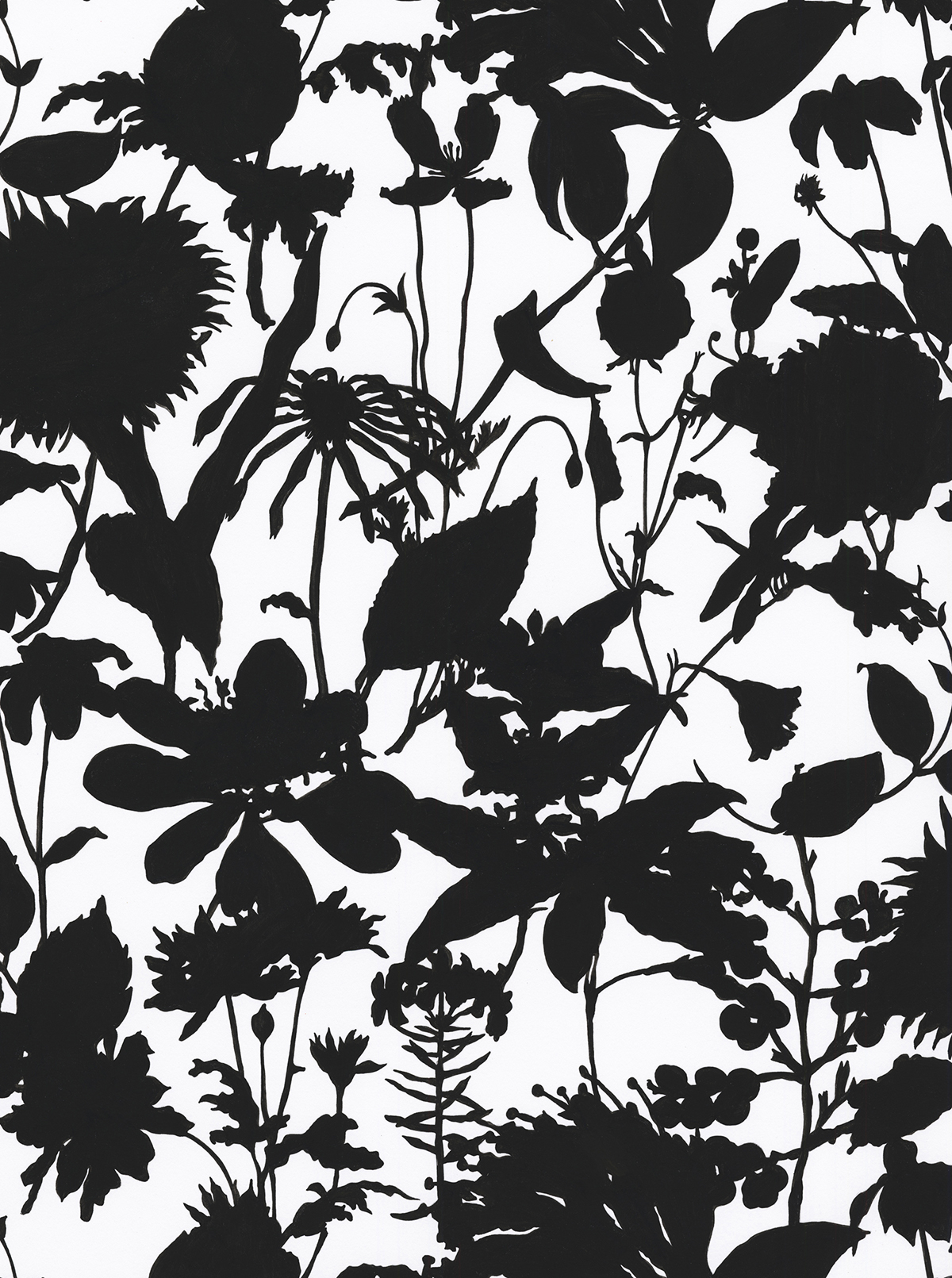 Wil.dflower Silhouette in black and white #170