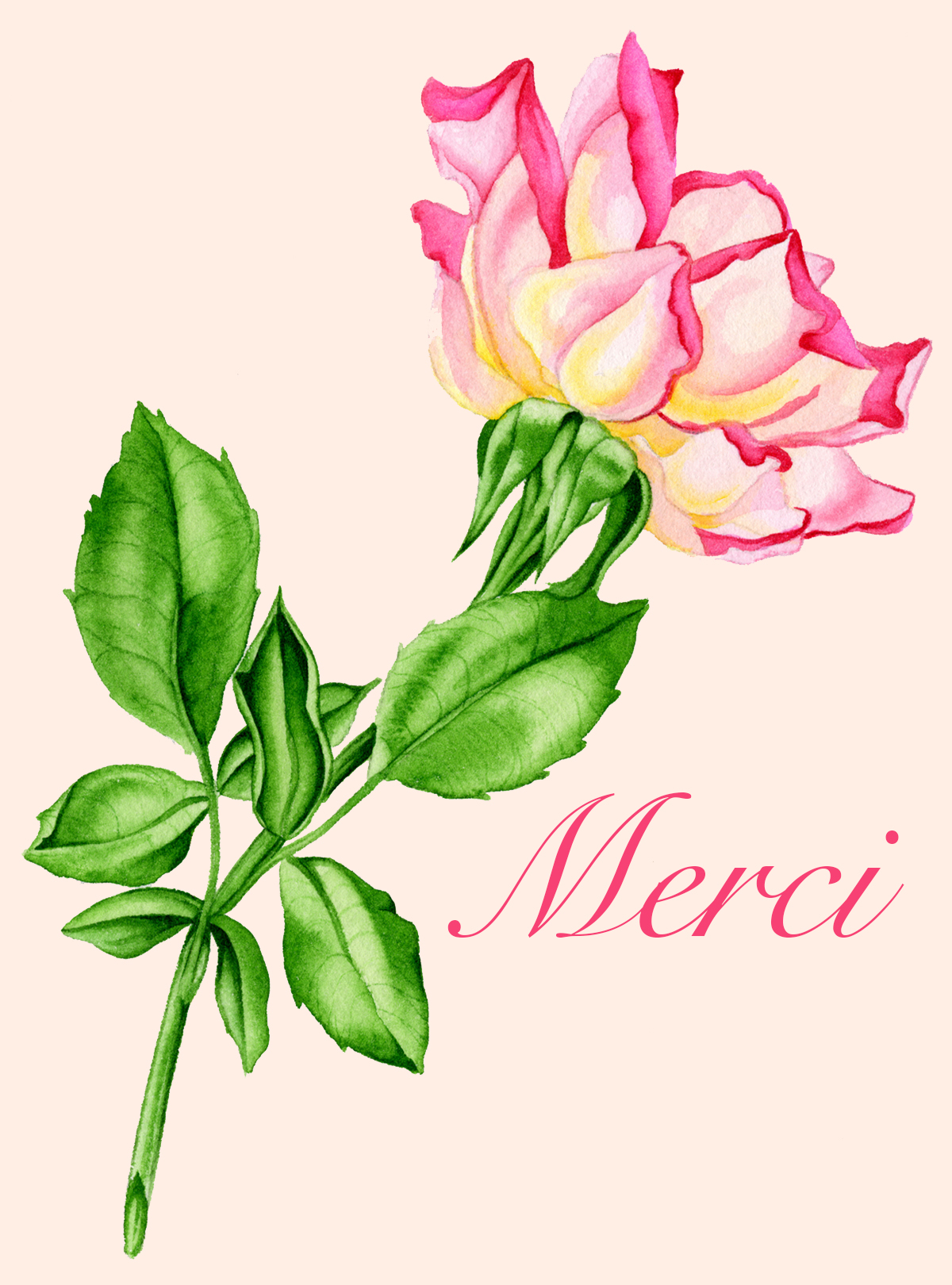 Merci #155