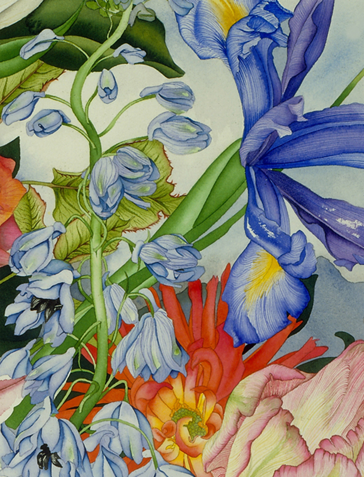 Delphinium and Iris vignette #107