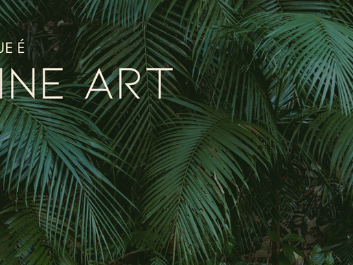 O que é FINE ART