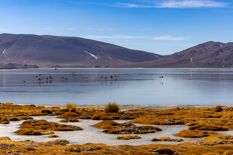 Num ambiente extremamente hostil, as cianobactérias passaram a fazer FOTOSSÍNTESE. Alimentavam-se da energia do sol e produziam oxigênio.