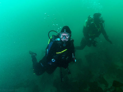 Emerald Diving Ireland at the National Aquatic Centre, Dublin