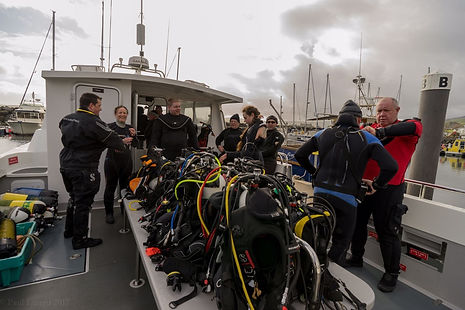 Emerald Diving Ireland at the National Aquatic Centre, Dublin
