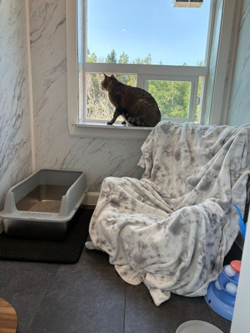 Kyle on window sill.jpeg