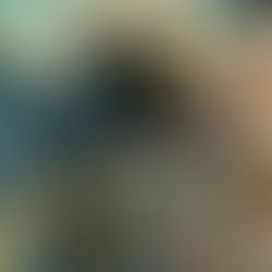 過路人語《飛鳥俠》