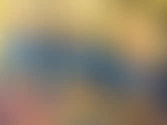 聲無哀樂 - 梵谷怎會值二百