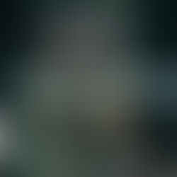 過路人語《及時行樂》