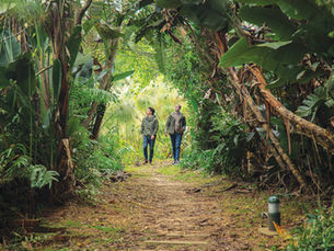 GUARDIANS OF ZIMBALI ESTATE