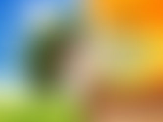 IT COULDN’T HAVE BEEN AN ACCIDENT.