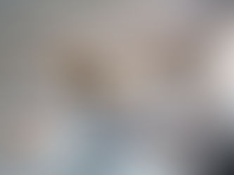 EXOTIC KITCHENS AND JOSSI INTERIOR DESIGN.