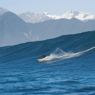 Summer Surf Movies.
