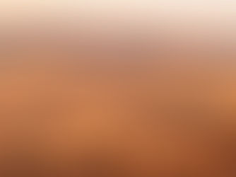 BATTLES AND ADVENTURE.