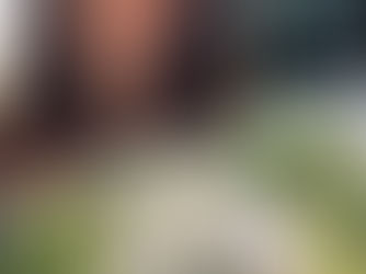 TEACHING CHILDREN TO BE BRAVE THROUGH STORIES AND PLAY.