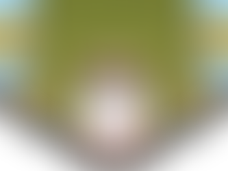 Talking with Animals