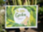 front cover of the little Gecko