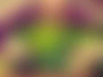 IS CHLOROPHYLL A CURE-ALL?