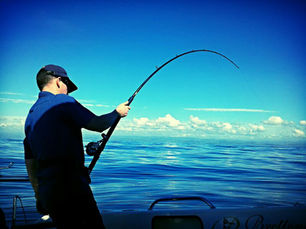 What’s Happening in the Ocean?