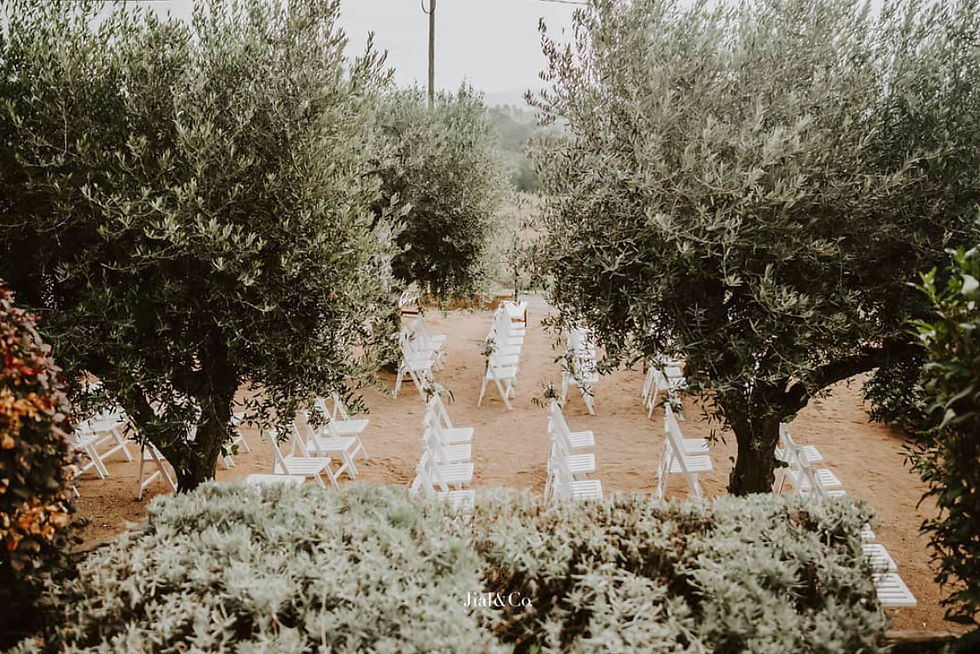 LOS OLIVOS