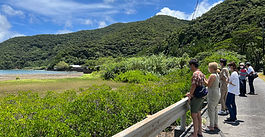 奄美新聞に掲載されました