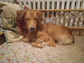 L'amour plus fort que la peur, Maïdo