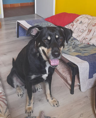 Jazz, tellement d'amour 