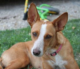 Sinki, délicate et douce