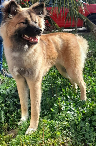 Shay, beauté pleine de douceur