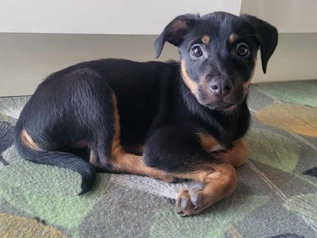 Coleen, petite beauté de la Réunion