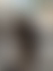 Marley, pétillant d'amour