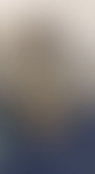 Timide et douce Freyja