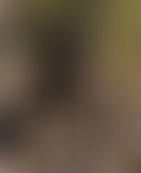 Django, bébé bonheur n°2