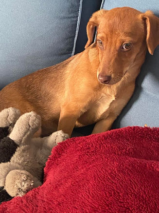 Divine petite Idylle