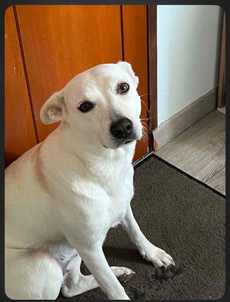 Roxy, en douceur