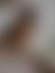 Nina, une chienne en or