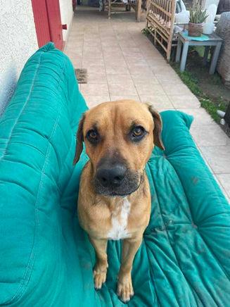 Blaze, l'éternel bébé 