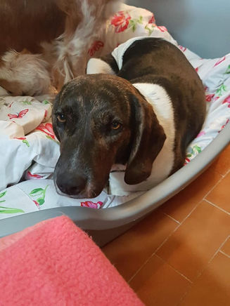 Elsa, tendresse ++++