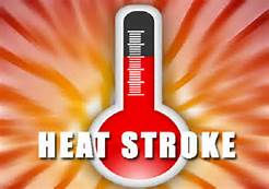 Baby heat Stroke deaths are 2x this year over same time last year!