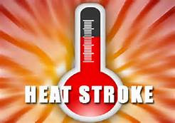 Baby heat Stroke deaths are 2x this year over same time last year!