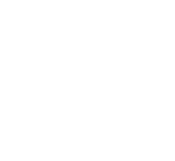 Cardano-RGB_Logo-Icon-White.png