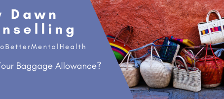 What's Your Baggage Allowance?