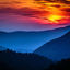Writer: New Dawn