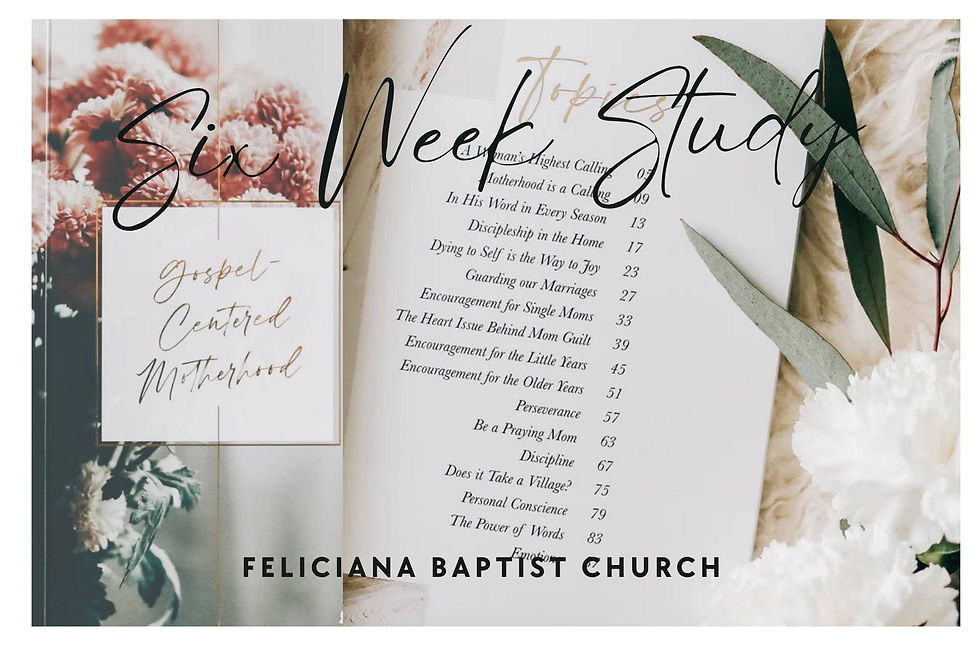 Gospel-Centered Motherhood: A Six-Week Study
