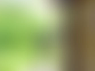 תשאלו את השאלות הנכונות- עוד לפני החתימה